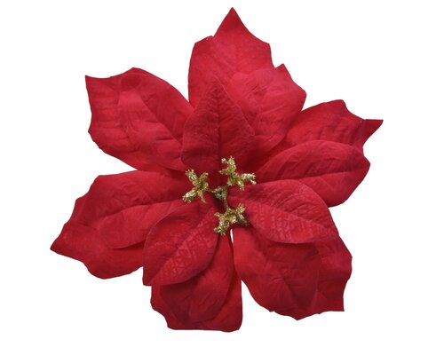 Everlands Poinsettia poinsettia op clip polyester fluweel velvet