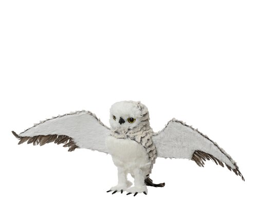 Decoris uil