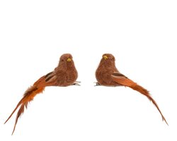 Decoris Vogel polyester feather 2ass