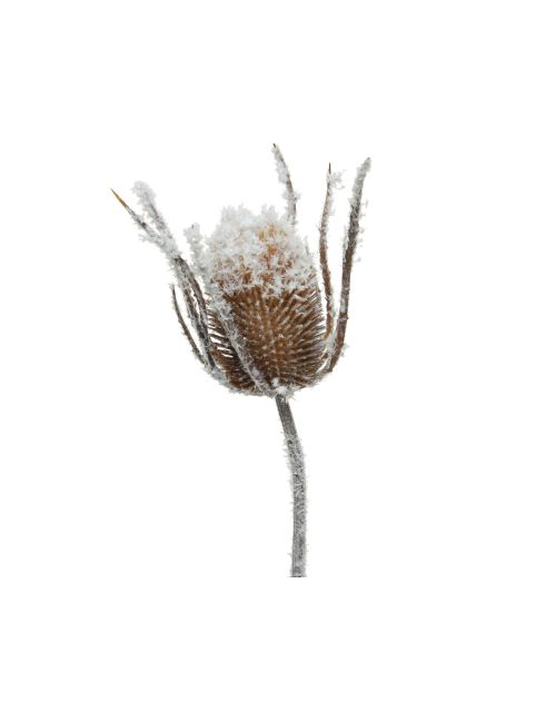 Decoris zijden tak met kaardebol plastic bruin sneeuw wit