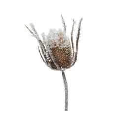 Decoris zijden tak met kaardebol plastic bruin sneeuw wit