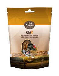 Deli nature Chix meelwormen 200g