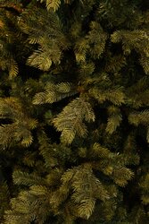 Black Box Trees Delmar kerstboom groen Full PE TIPS 6886 - h230xd149cm - afbeelding 3