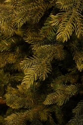 Black Box Trees Delmar kerstboom groen Full PE TIPS 6886 - h230xd149cm - afbeelding 4