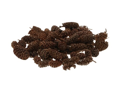 Dennenappel berk 30g naturel