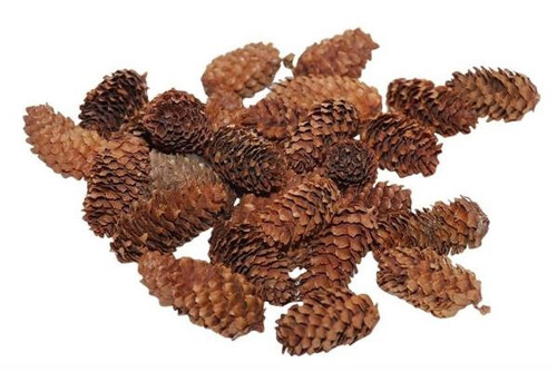 Dennenappel spruce 4-5cm naturel