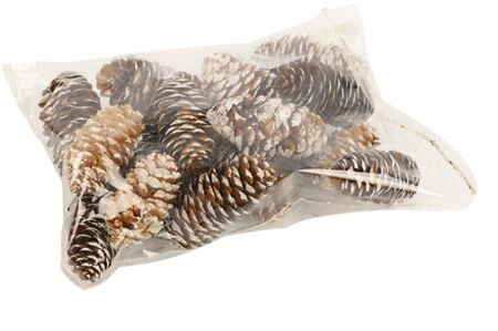 Dennenappel spruce 7cm wit