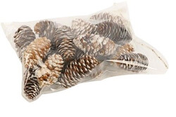 Dennenappel spruce 7cm wit