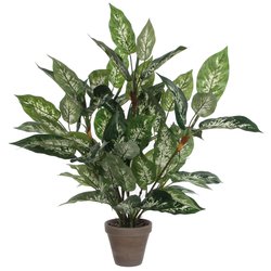 Mica Dieffenbachia groen in pot Stan grijs H70cm