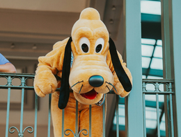 Disney knuffels