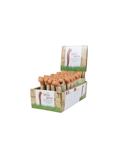 Display Winny terra D22x12 H11