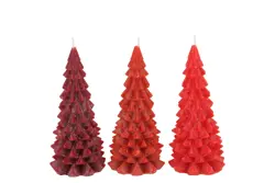 DK Candle Frosty X-Mas Tree Wild Red Mix 6X12Cm Ass