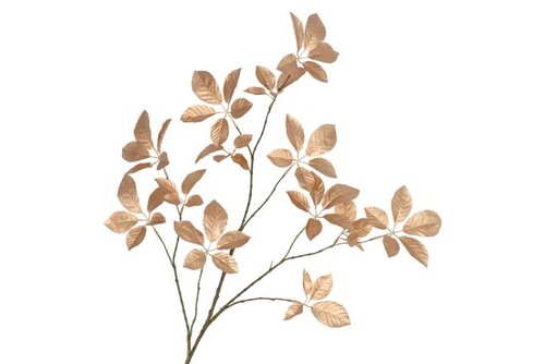 DK Silk Leaf Elder Gold 124Cm Nm