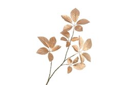 DK Silk Leaf Elder Gold 81Cm Nm