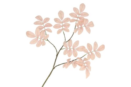 DK Silk Leaf Rowan Champagne 71Cm Nm