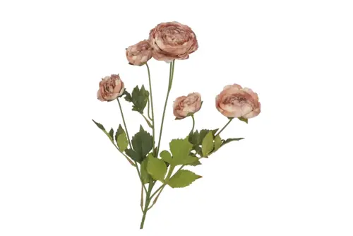 DK silk old autumn ranunculus brown single stem 62cm
