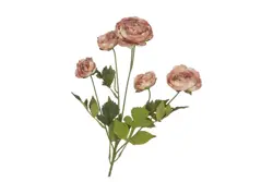 DK silk old autumn ranunculus brown single stem 62cm