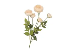 DK silk old autumn ranunculus cream single stem 62cm