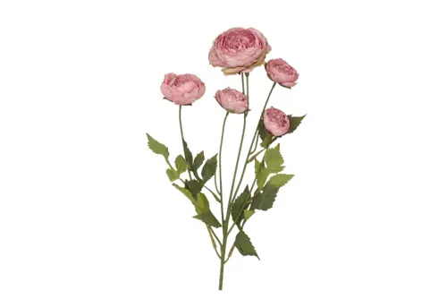 DK silk old autumn ranunculus pink single stem 62cm