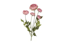 DK silk old autumn ranunculus pink single stem 62cm