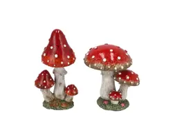 DK Wonderland Red Mushroom Boletus  Ass 8X8X9Cm