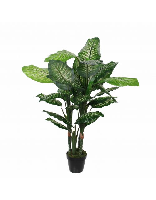 Dieffenbachia in pot groen - h120xd60cm