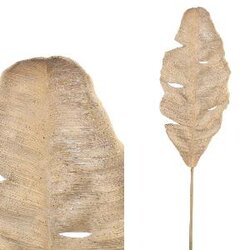 PTMD Dried Leaves brown bird of paradise leaf spray