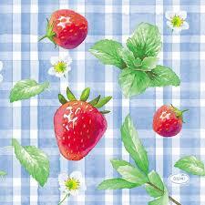 DUNI Servet 24x24 strawberry picnic 20st