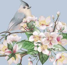 DUNI Servet 24x24cm birds lyrics 20st