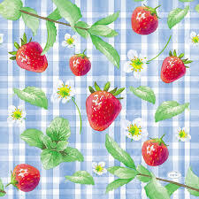 DUNI Servet 33x33 strawberry picnic 20st