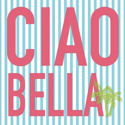 Duni Servet 33x33cm ciao bella 20st