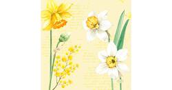 Duni Servet 33x33cm daffodil 20st
