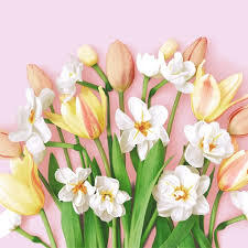 DUNI Servet 33x33cm tulip joy 20st