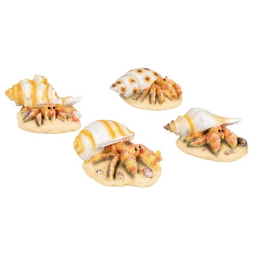 EBI Deco heremietkreeft 4 assorti l9b6h4,9cm