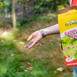 Ecostyle Gazon-AZ Najaar 2 kg - afbeelding 2