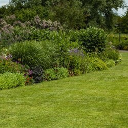 Ecostyle Graszaad inzaai 2 kg - afbeelding 2