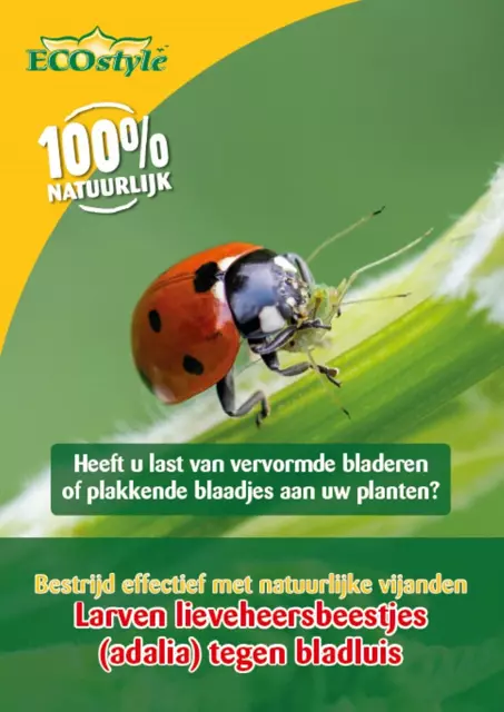 Ecostyle Larven lieveheersbeestje tegen bladluis 100 st.