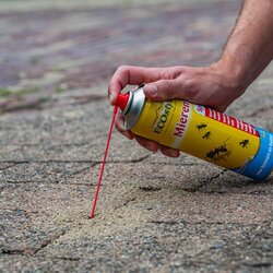 Ecostyle MierenSpray 400 ml - afbeelding 2