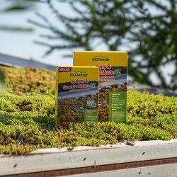Ecostyle Sedum & groene daken-az 800 gram - afbeelding 5