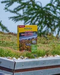 Ecostyle Sedum & groene daken-az 800 gram - afbeelding 2