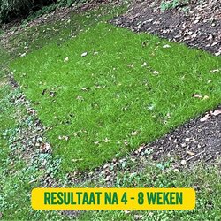 Ecostyle Soweazy graszaad inzaairol 10 m2 - afbeelding 5