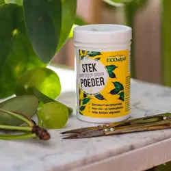 Ecostyle StekPoeder 25 g - afbeelding 3