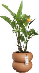 Elho Amber Roll Low 43 - Ø 43 x H 40 cm - Binnen en Buiten - 100% gerecycled - afbeelding 2