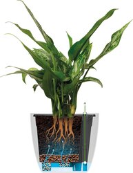 Elho B.for Soft Rond 22 met Self-Watering Insert - Bloempot met Watermeter - 100% Gerecycled Plastic - afbeelding 4