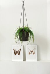elho brussels hangschaal 18cm antraciet - afbeelding 4