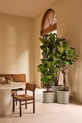 Elho Eden Aquacare high 40 zacht taupe - afbeelding 2