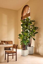Elho Eden Aquacare Low 40 linnen wit - afbeelding 2