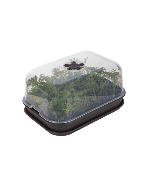 Elho Green Basics Kweek Kit living black allin1