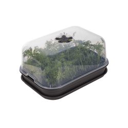 Elho Green Basics Kweek Kit living black allin1