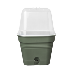 Elho Green Basics Kweekpot Vierk. Allin1 25 - Bloempot - Kleur: Blad Groen - Kweken En Oogsten - Ø 2